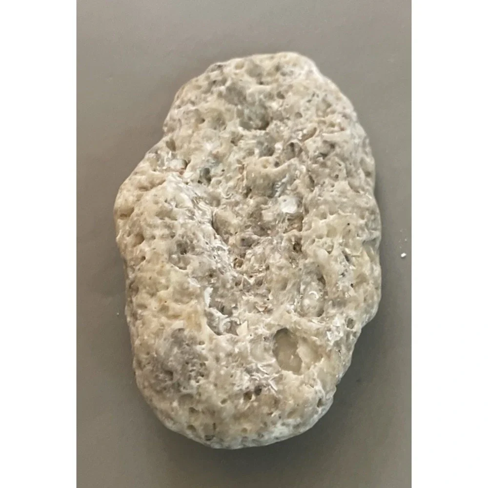Fossilized Coral Natural Surf Tumbled 5.5